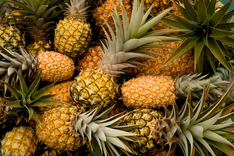 Piña Golden